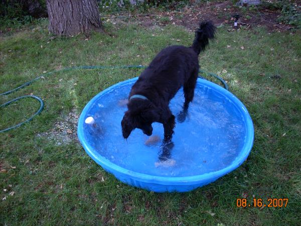 /Images/uploads/Humane Society of Utah/HSUCalendar/entries/955thumb.jpg